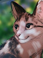 Cute cat by Flashwhite