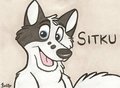Badge by Balto