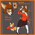 phylum reference by phylome