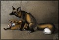 Boredom Foxes by DigitDooker