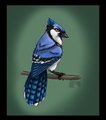 Say what? by DigitDooker