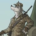 Military Wolf by Thestory