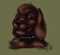 Portrait of Arineu