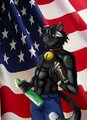 Americanization by Phoenixe