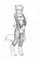 DBZ Tribute