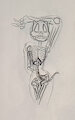 The anatomy