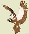 Harpy Reid by Forth