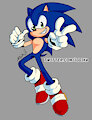Yet just another Sonic by Iggika