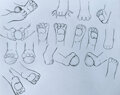 Pawfeet Reference Sheet