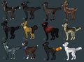 CHEAP Canine Adoptables by Knopf