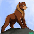 Koda