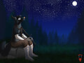 Moonlit Night