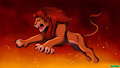 Simba