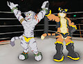 Commission - Nimbus and Fuerte