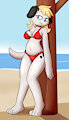 Commission for Boeing by Felino