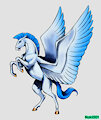 Phyneus