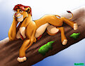Simba