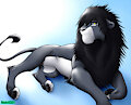 Noctis Lion