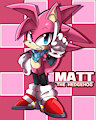 Matt the Hedgehog