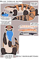 CRITTER CREATION_Blue tongue skink