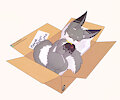 Adopt~