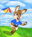 Fly a Kite -By Arfur90-