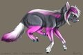 Moti Feral