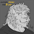Avatars promo!
