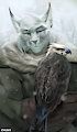 Falconer by chunie