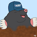 Taugit Origin by Versperus