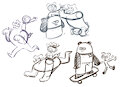 Beary Fun
