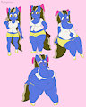 Sundae Shake Weight Gain Sequence