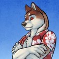 Gearwolf9k