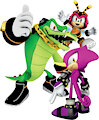 Gunnar Nelson - Team Chaotix Transcription by ChthonicDelirium
