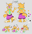 Coswell ref sheet