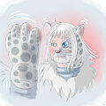 Ailaka Practices Paw Transformation, but Does It Wrong