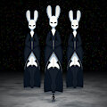 The Moon Rabbits