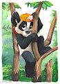 Panda by pandapaco