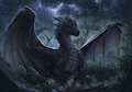 Serene Night by Cheetahs