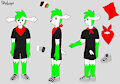 Reference sheet New Skyboys