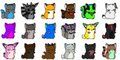 Fluff Group 11