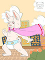 Super Bunny takes flight