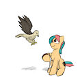 Falconry