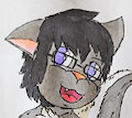Netogra Commission