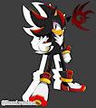 Shadow the Hedgehog by kamiraexe