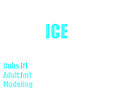 BFC Ch73 ICE