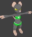 Rat NPC