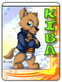 Kiba Kool Tag