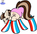 Coffee Mocha's new socks and panties