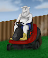 Lawn mower